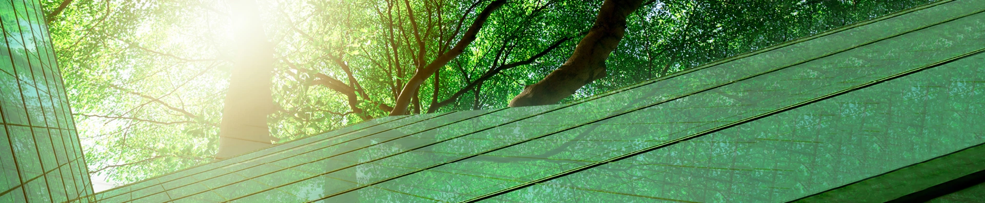 Insights Page Header Increasing Trust In Esg Ratings Through Transparency 1820X375