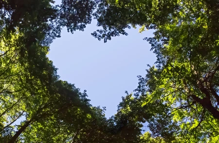 INSIGHTS – CAROUSEL – European ESG Template (EET) Data Live On Fundinfo 585X381